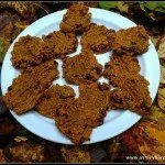 Gluten-free Vegan Sweetpotato Cookies!